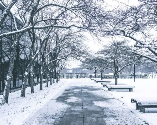 winter benches along icy sidewalk