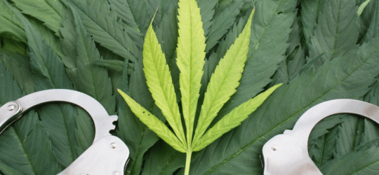 Marijuana leak and handcuffs