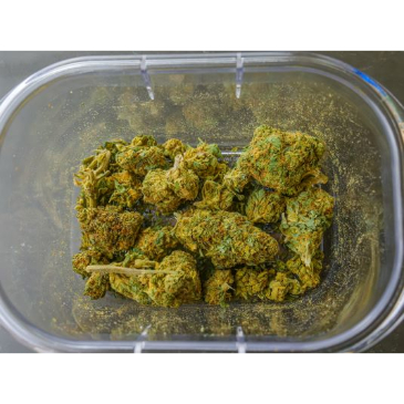 Marijuana—What’s Legal in Colorado