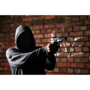 Armed Robbery Spree in Denver Area